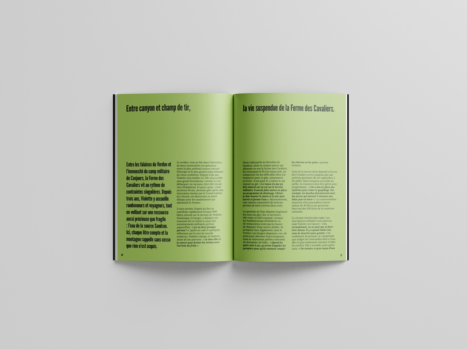 Magazine Viva Verdon — extrait de page